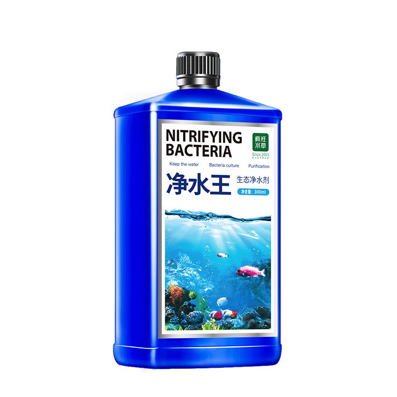 净水王